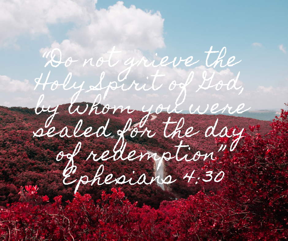 Do not grieve the Holy Spirit of God, by whom you were sealed for the day of redemption” Ephesians 4_30